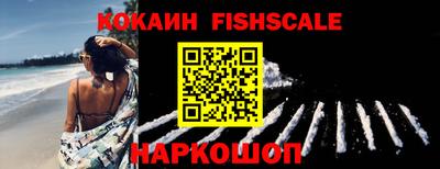 стаф Кимры