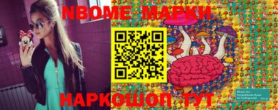 стаф Кимры