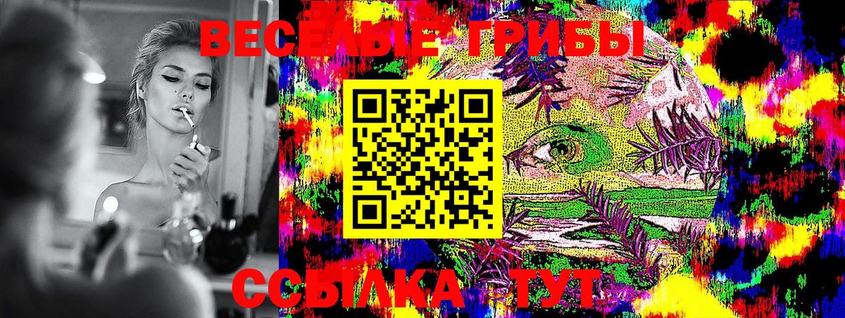 Красный Сулин  Псилоцибиновые грибы MAGIC MUSHROOMS  Вход с VPN 